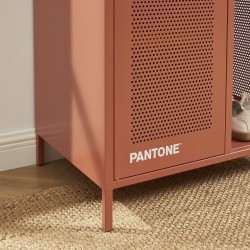Vestiaire PANTONE métal terracotta avec penderie h145cm