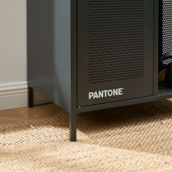 Vestiaire PANTONE métal gris anthracite avec penderie h145cm