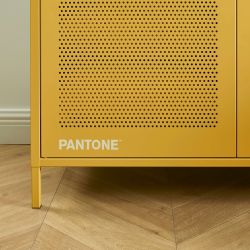 Armoire PANTONE métal jaune moutarde 2 portes