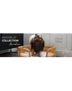 Animalerie | Baïta